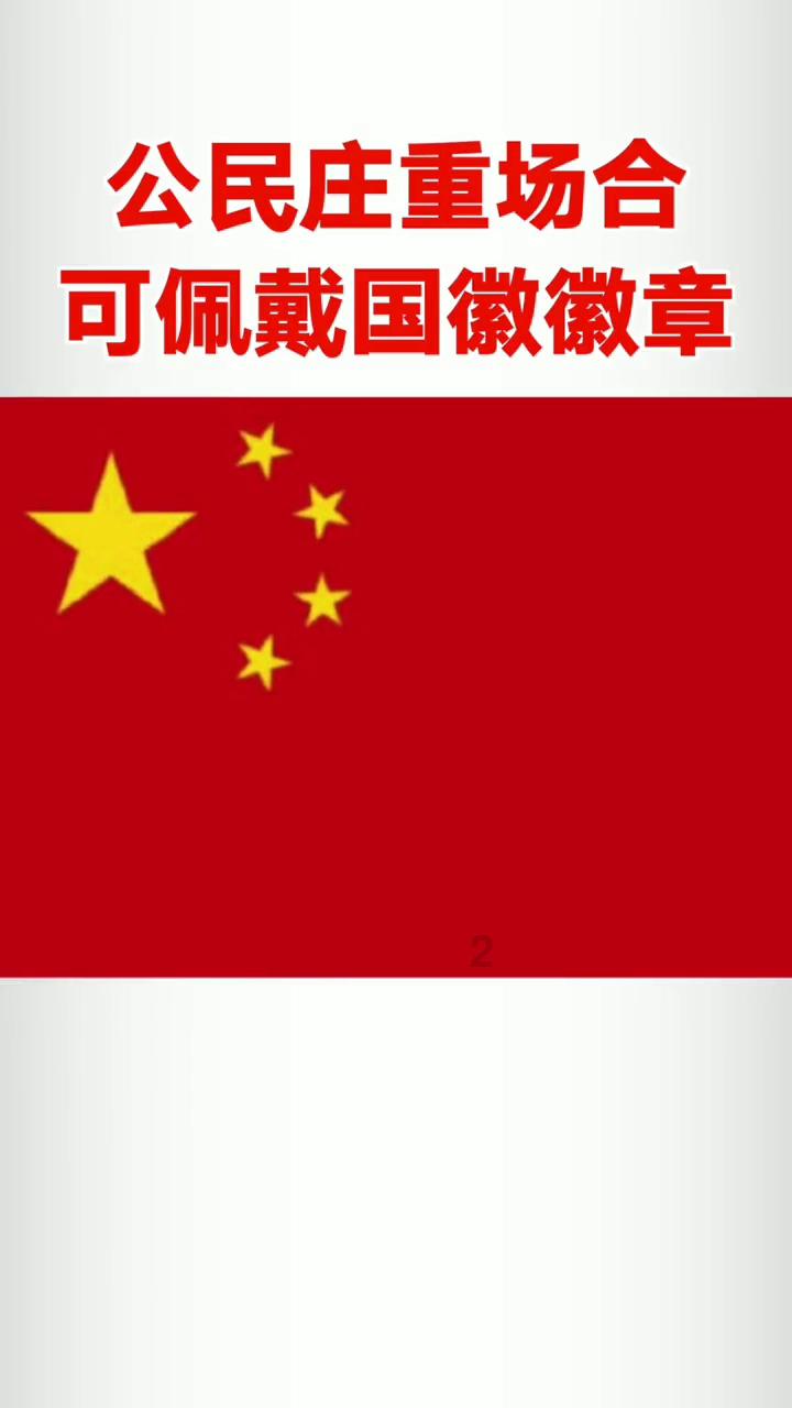 可爱小猫向上跳